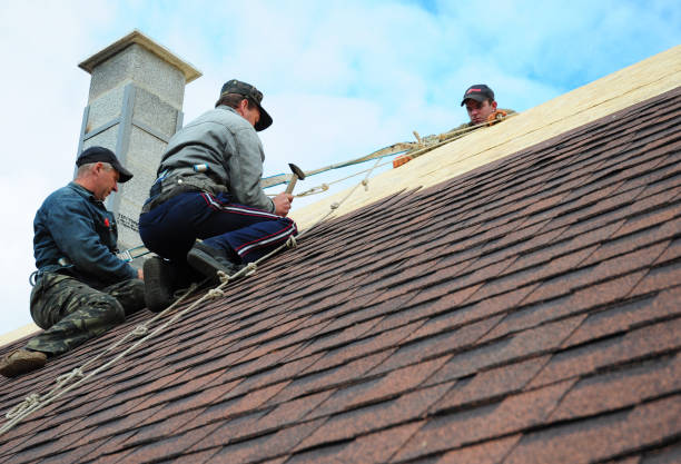 Best Metal Roofing Contractor  in Hunter, OH